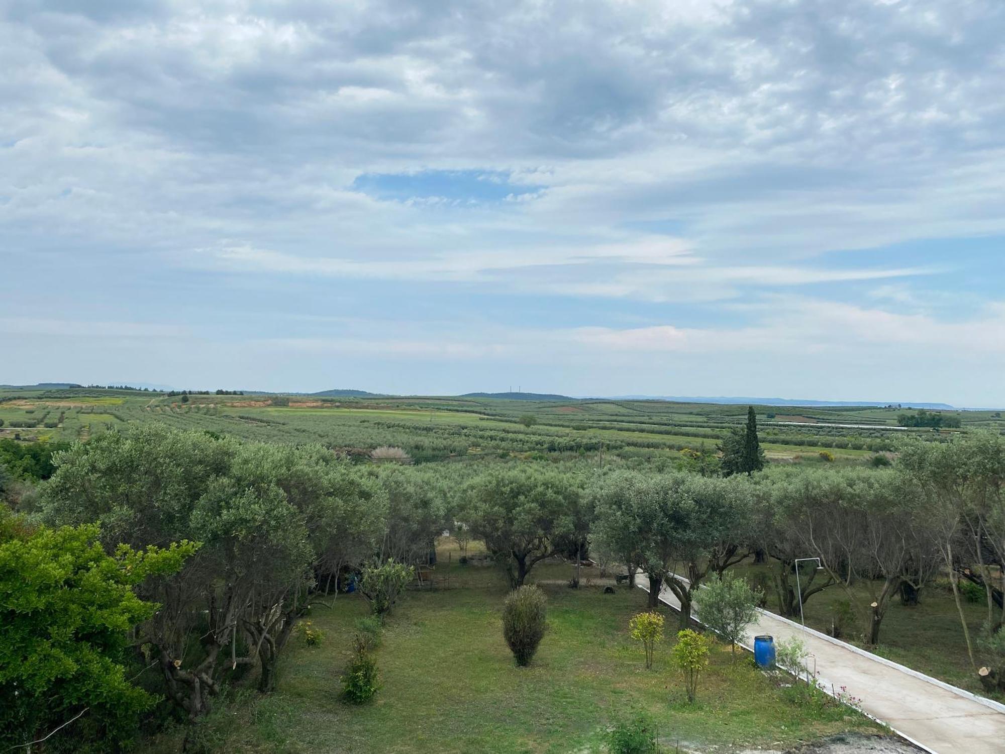 Mediterranean Escape Flogita Ngoại thất bức ảnh